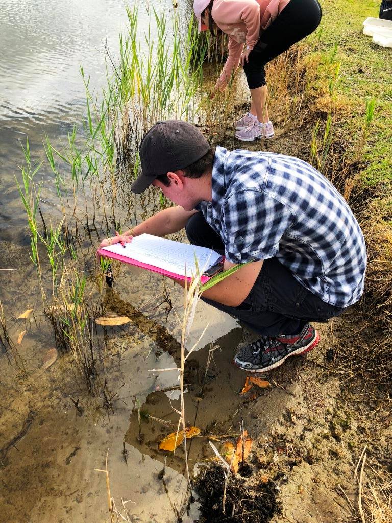 Tertiary Catchment Studies