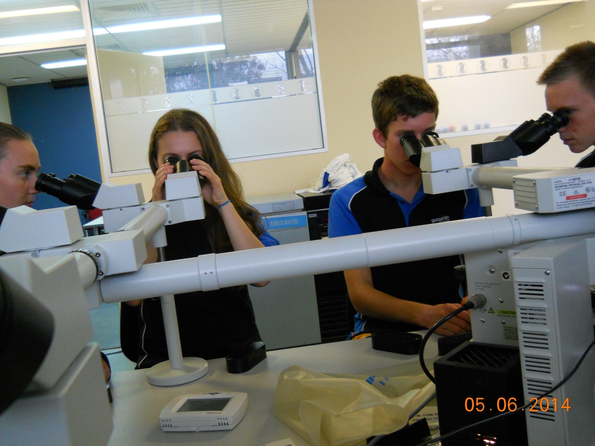 Senior Infectious Diseases Program