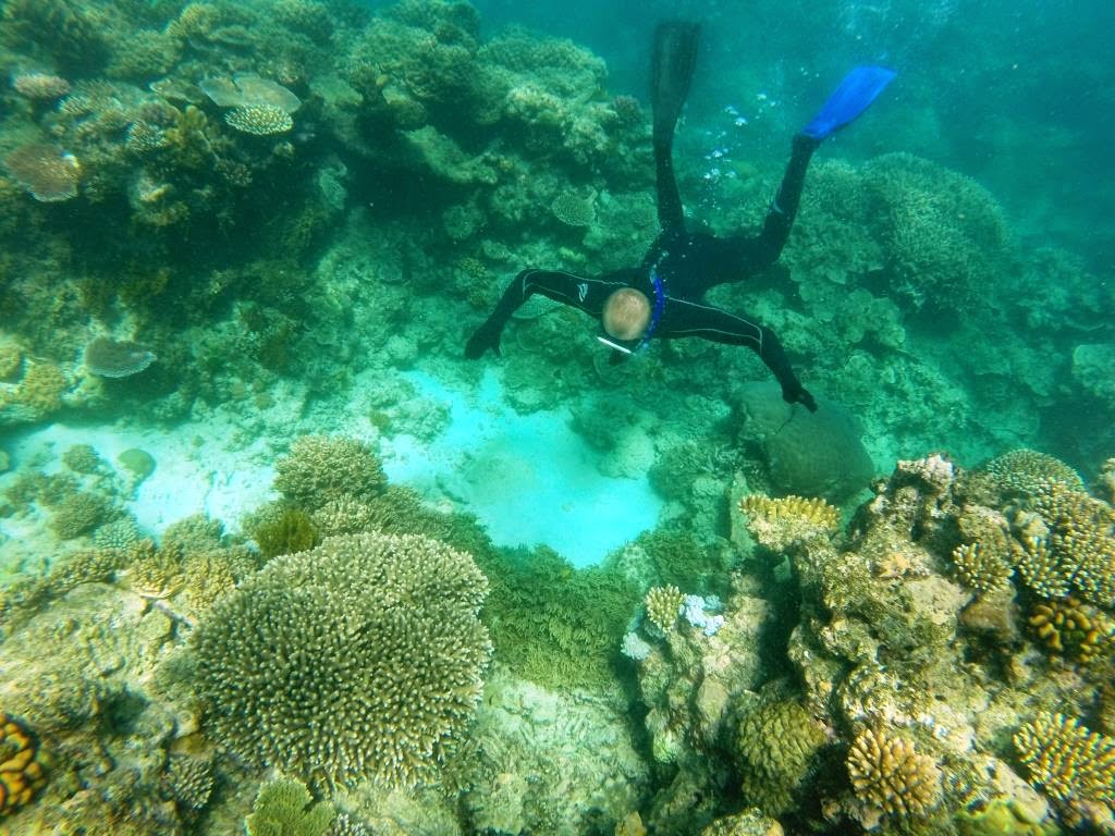 Tertiary Coral Reefs