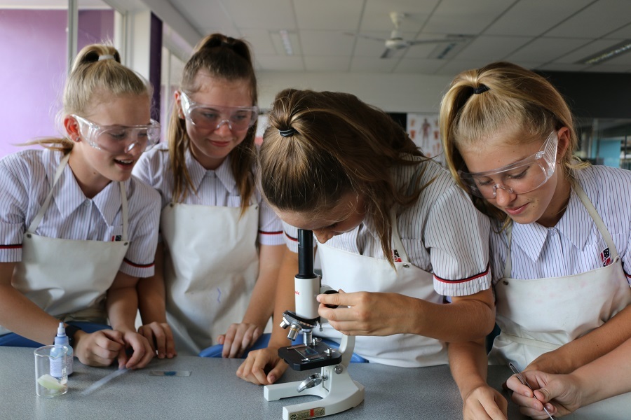 7-10 Infectious Diseases Program
