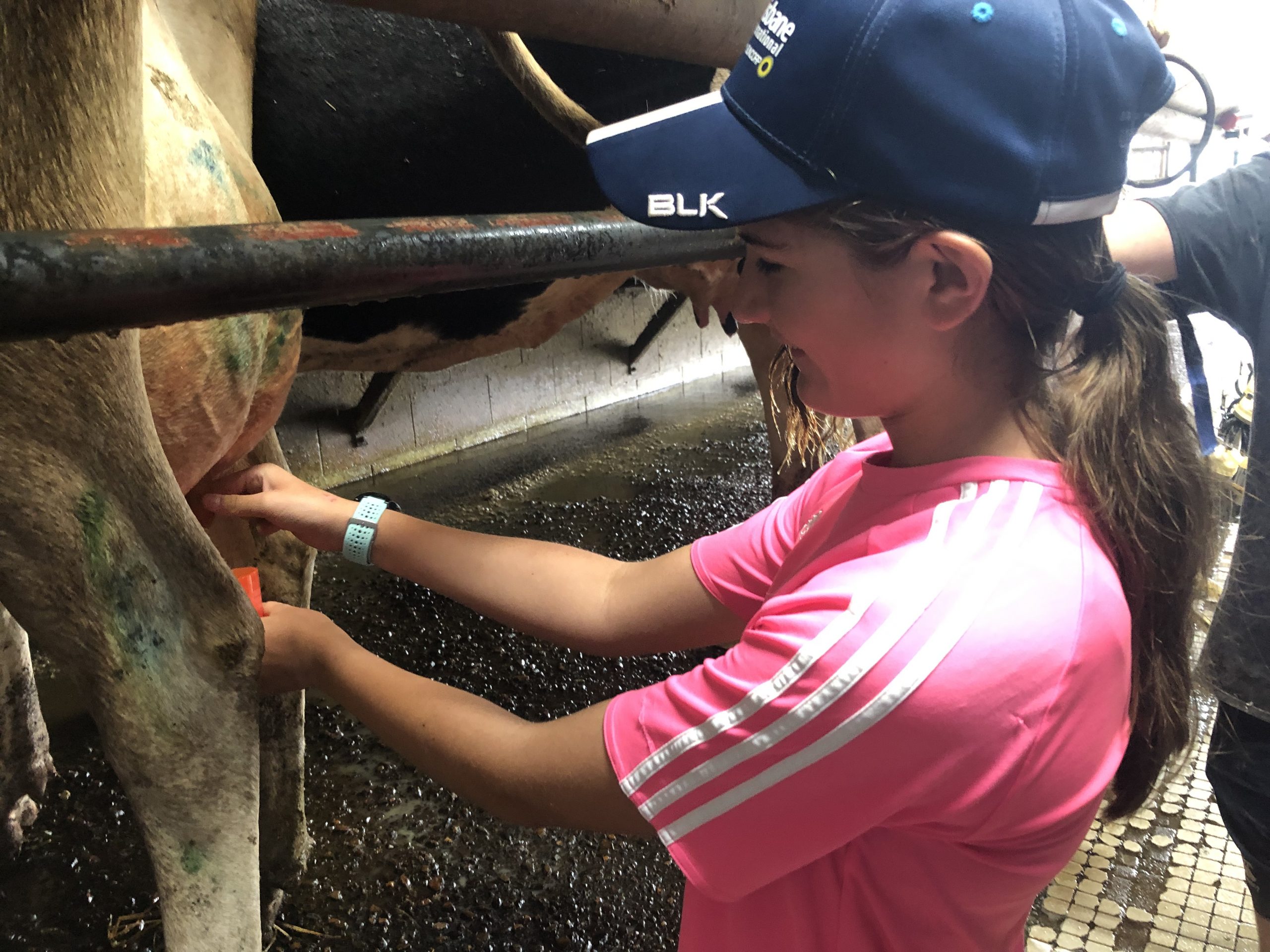 Senior Paddock to Plate
