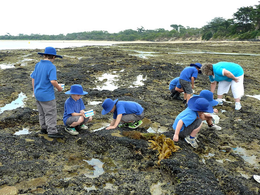 3-6 Rocky Shores
