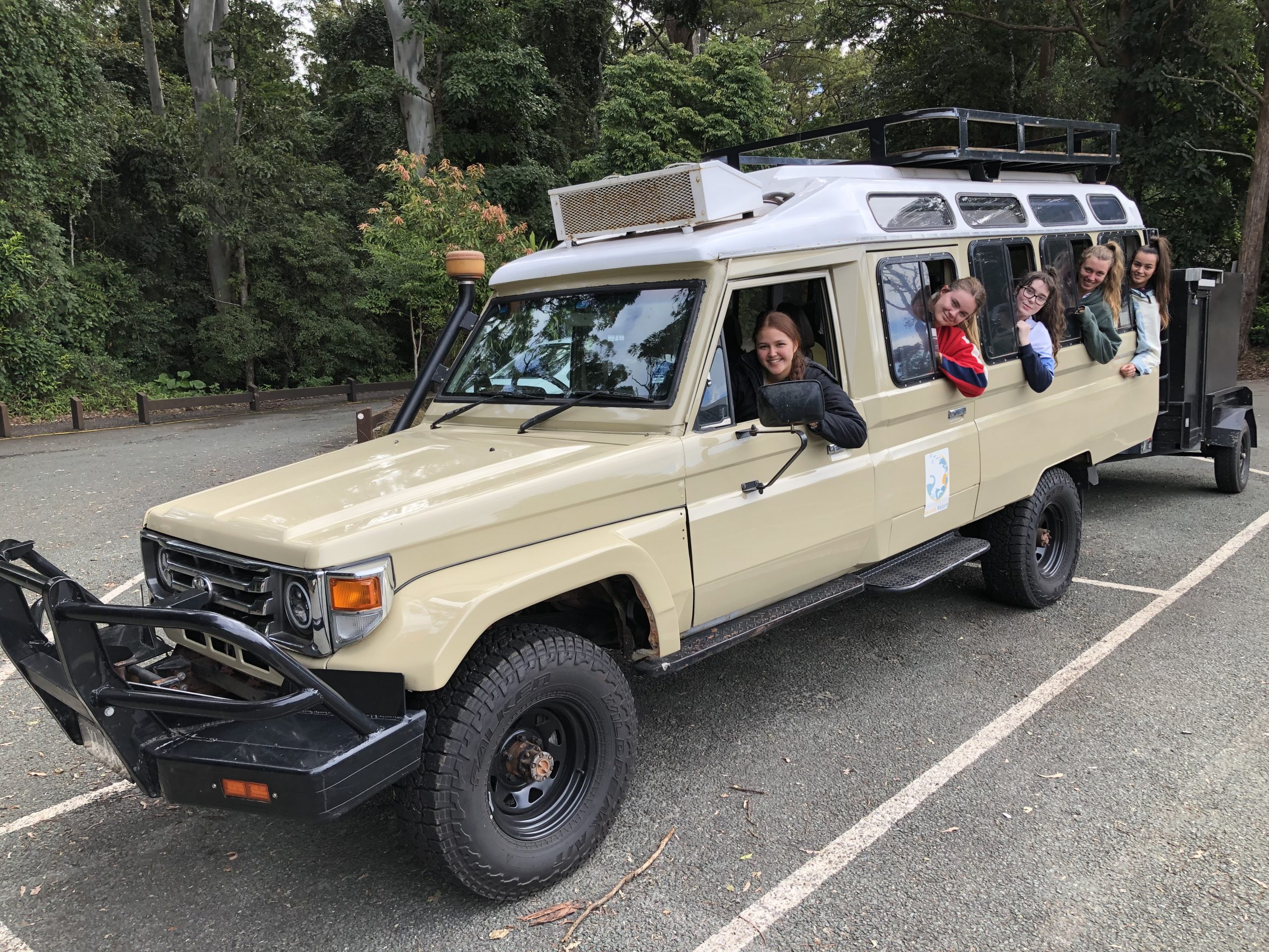 Tertiary Rainforest Investigation