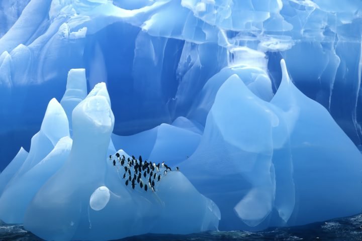 Educational Antarctica Tours