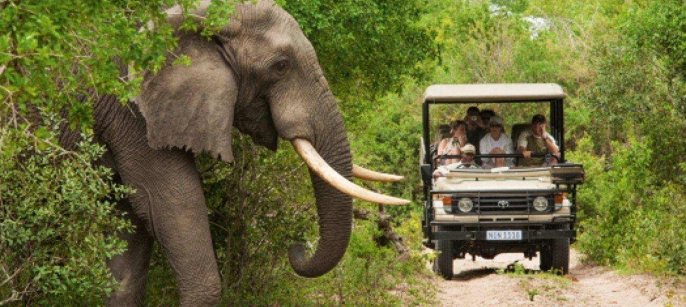 Educational Africa Tours