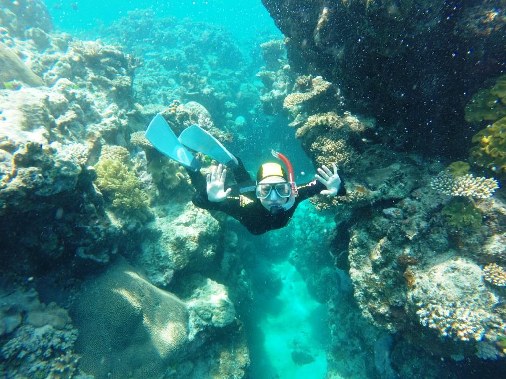 Educational Tours to Far North Queensland