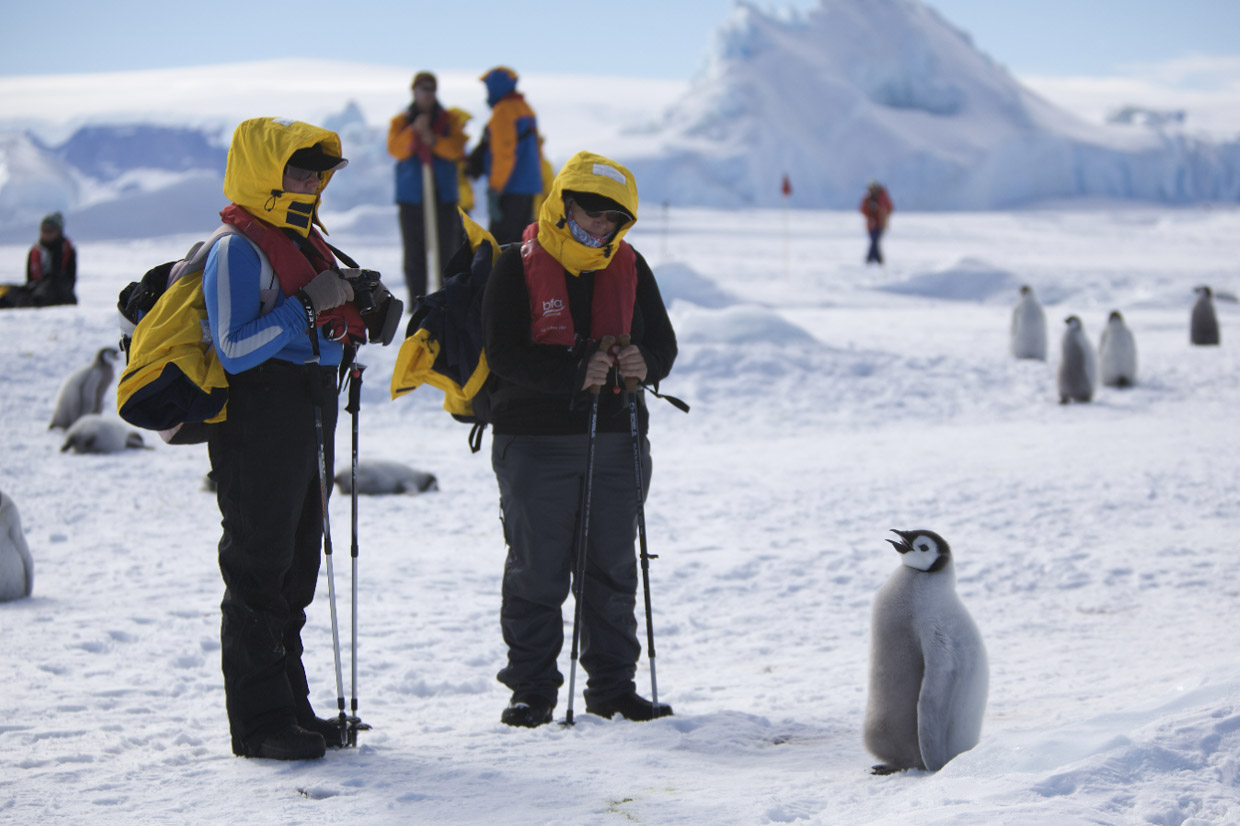 Experience Antarctica