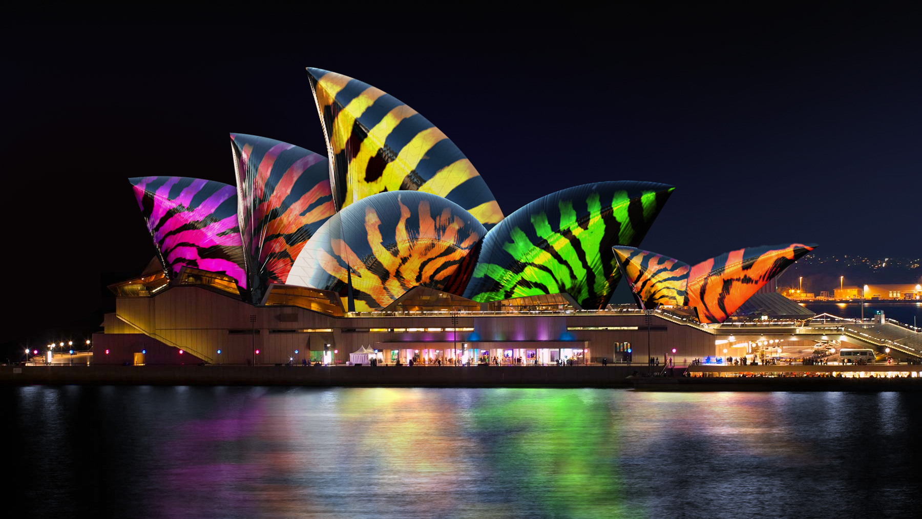 Experience Sydney